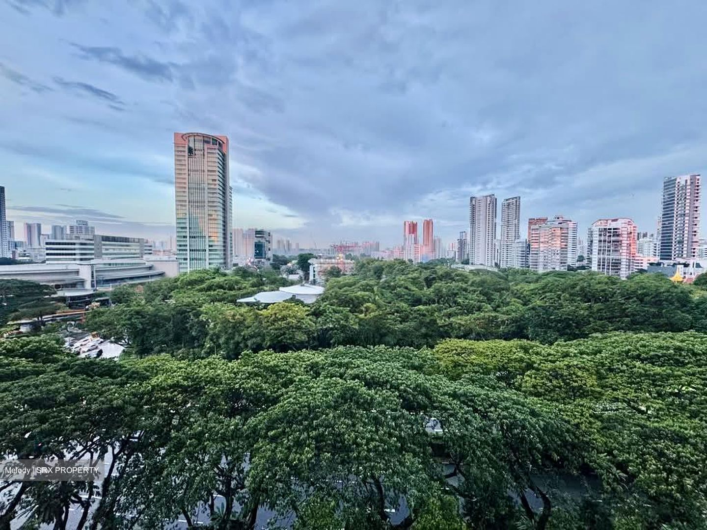Blk 159 Toa Payoh Green (Toa Payoh), HDB 3 Rooms #566343631